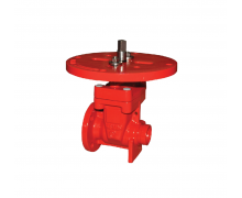 3288 Non-Rising Stem Flanged x Grooved